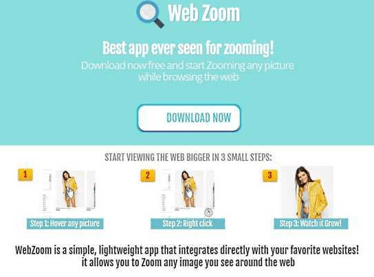 WebZoom Ads website screenshot