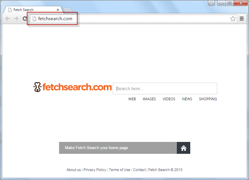 FetchSearch.com Search Bar Screenshot