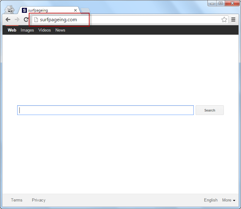 Surfpageing.com Search Bar Screenshot