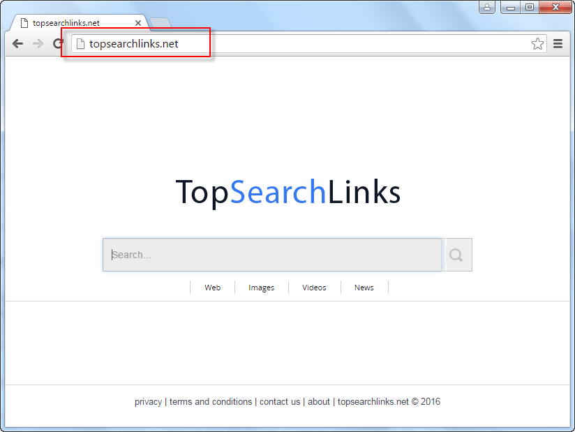 TopSearchLinks.net Homepage Search Bar