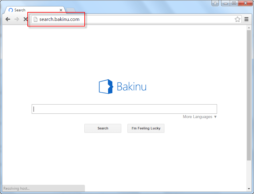 Search.bakinu.com Search Bar Screenshot