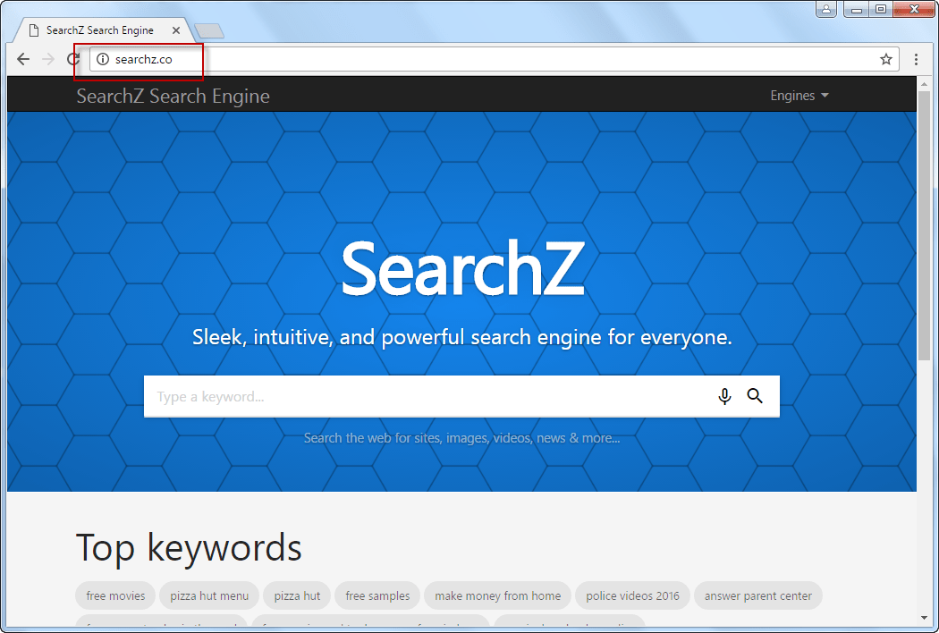 searchz-co-search-bar-screenshot